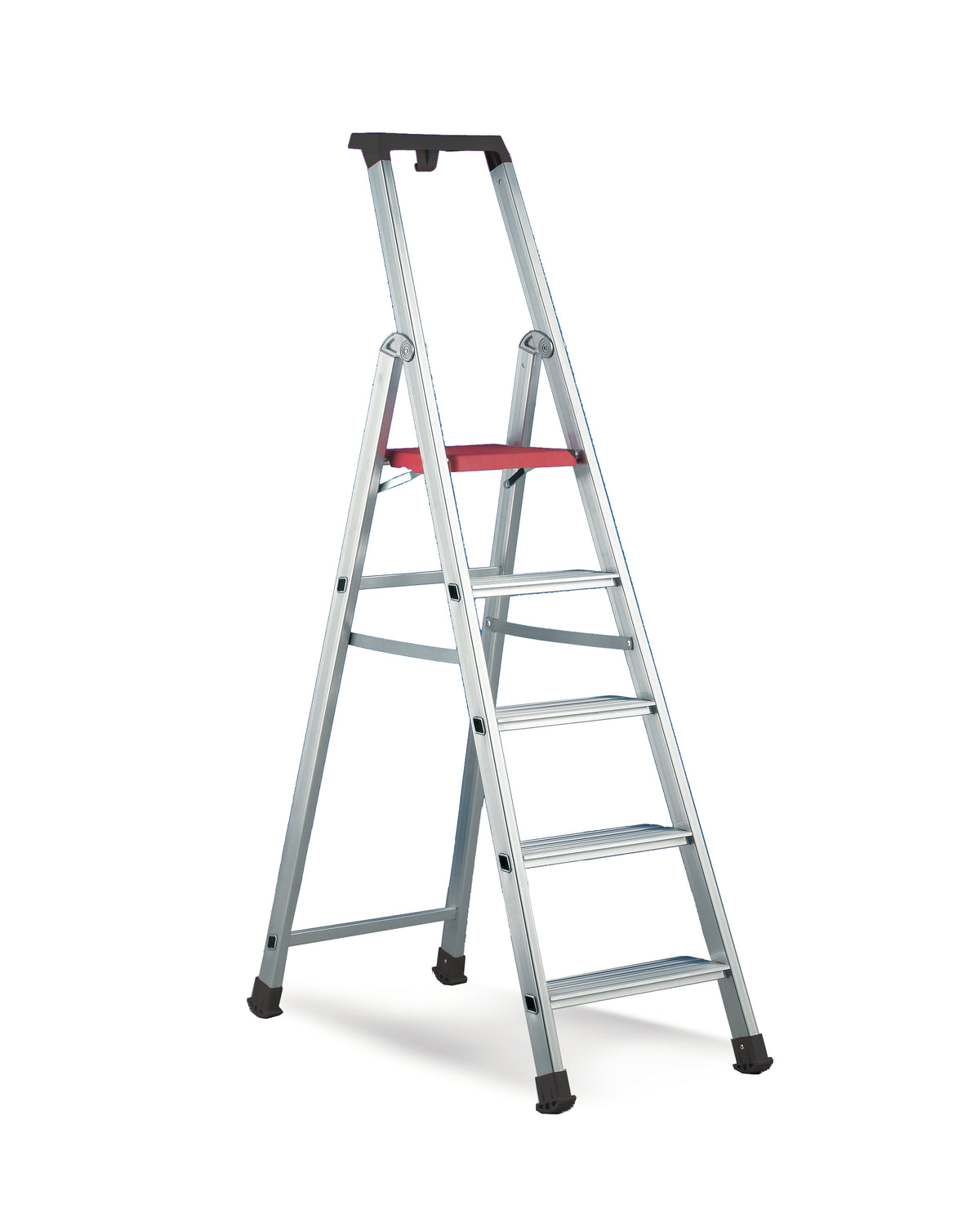 Cassiopea Comfort