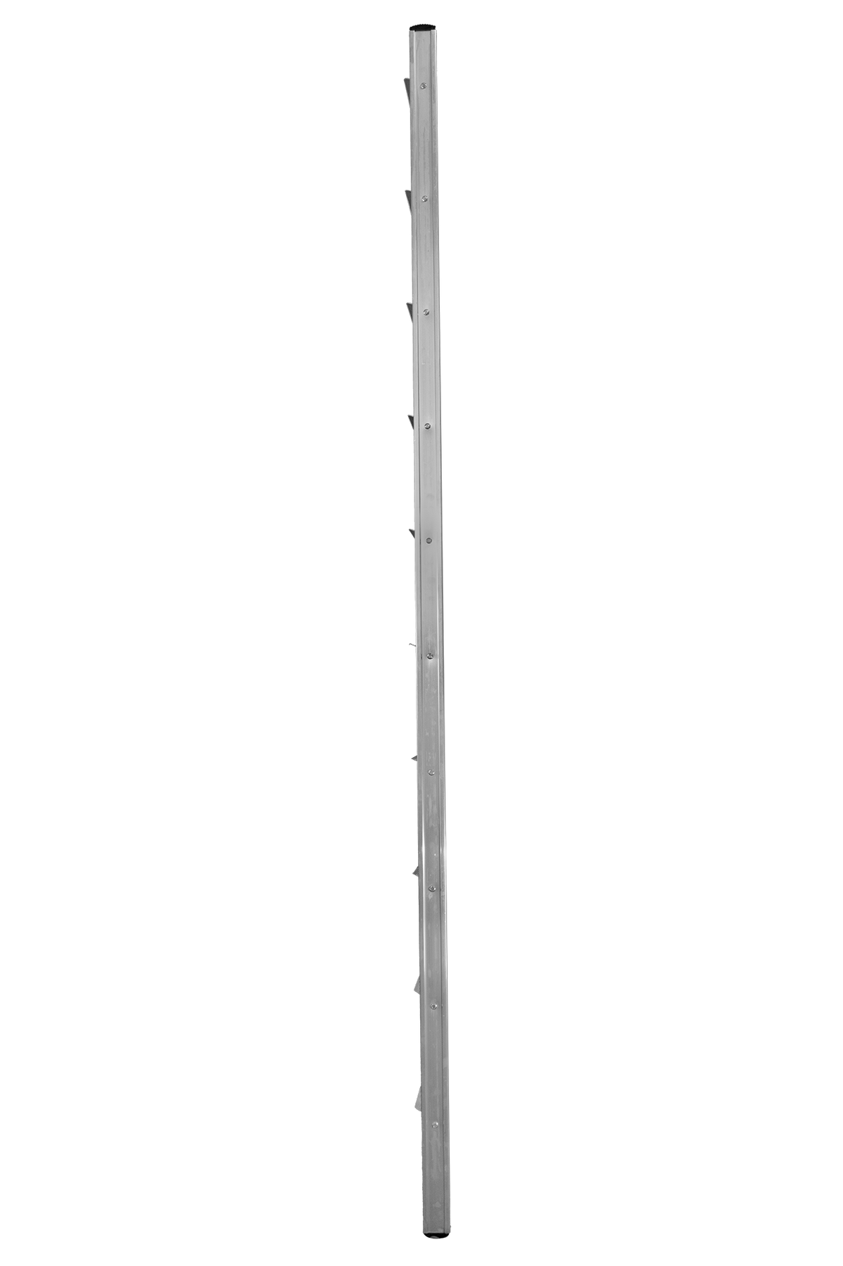Luna Plus