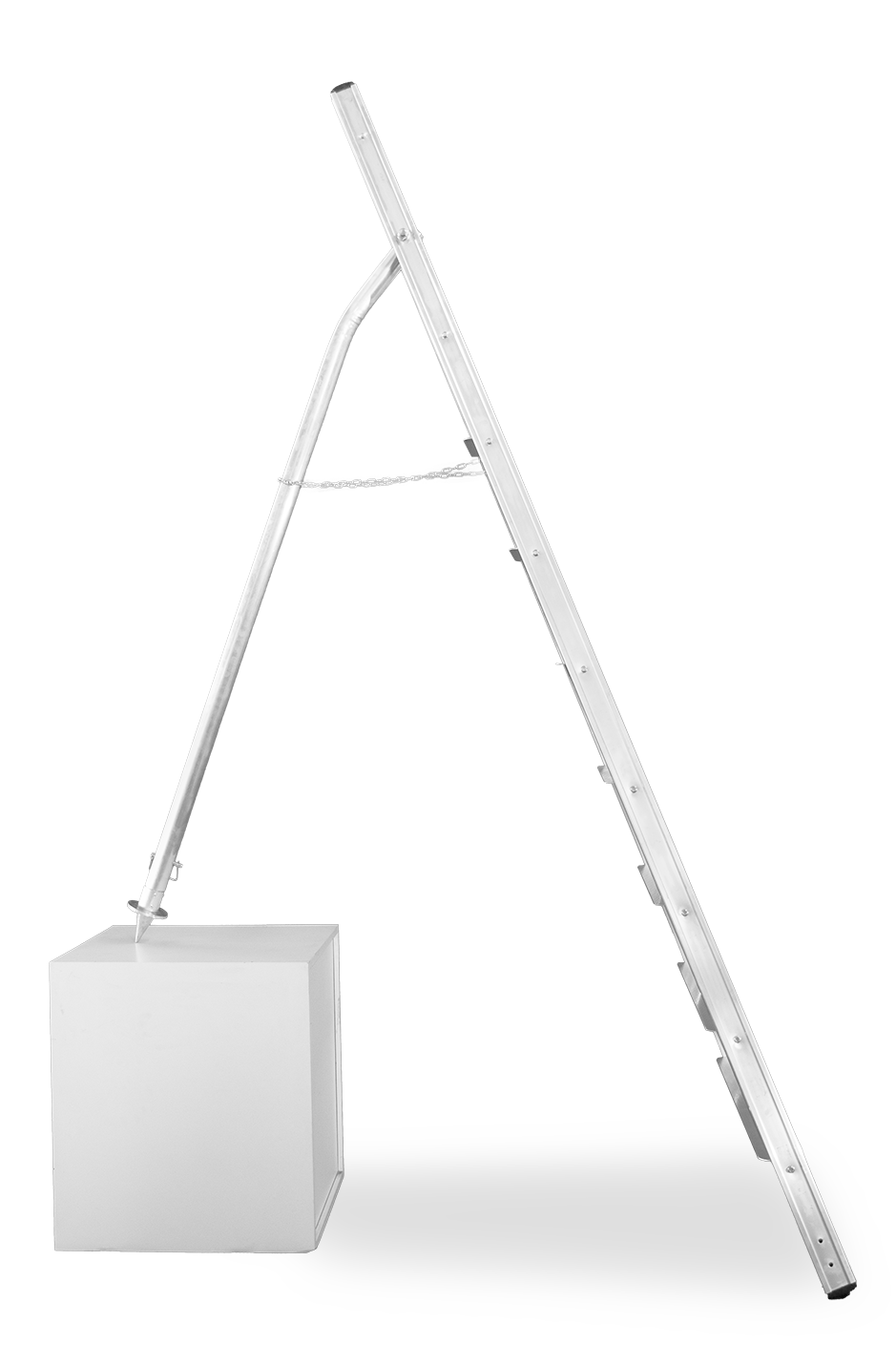 Vega Maxi