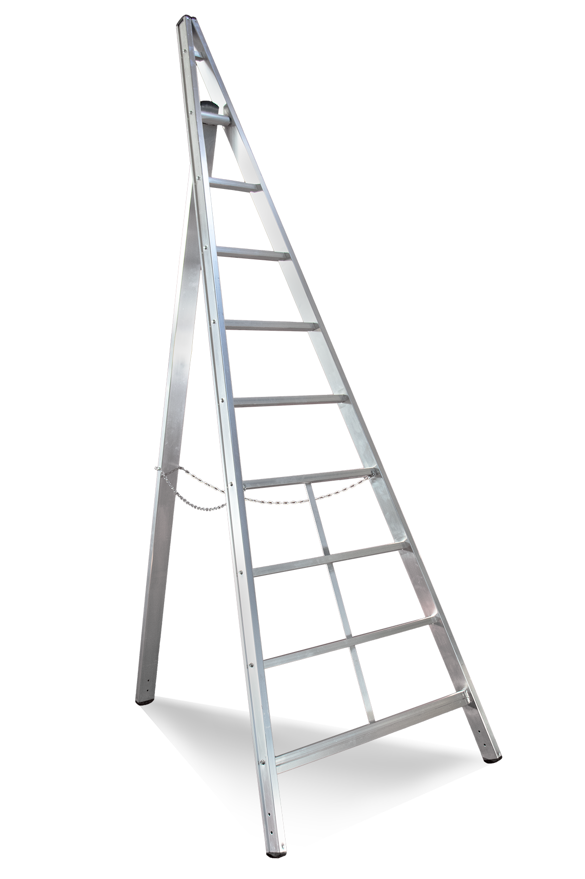 Vega
