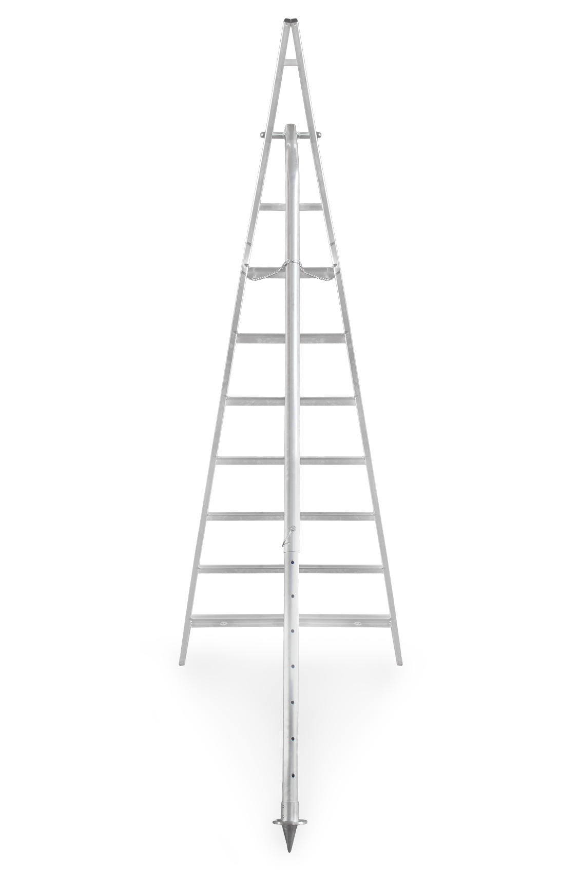 Vega Maxi
