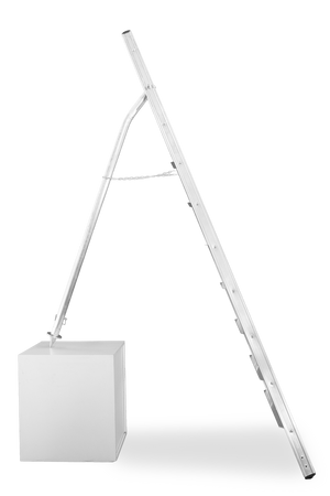 Vega Maxi