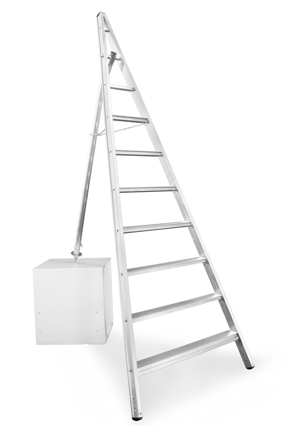 Vega Maxi