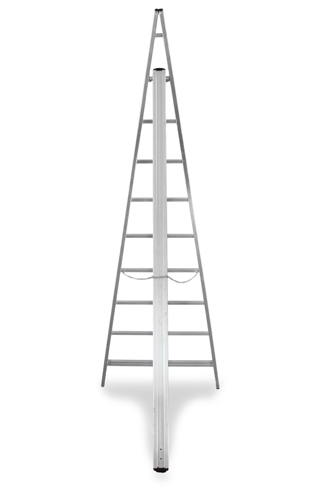 Vega